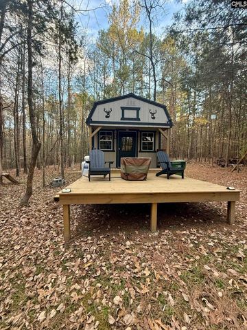 50 Steve Free Road, Chapin, SC 29036