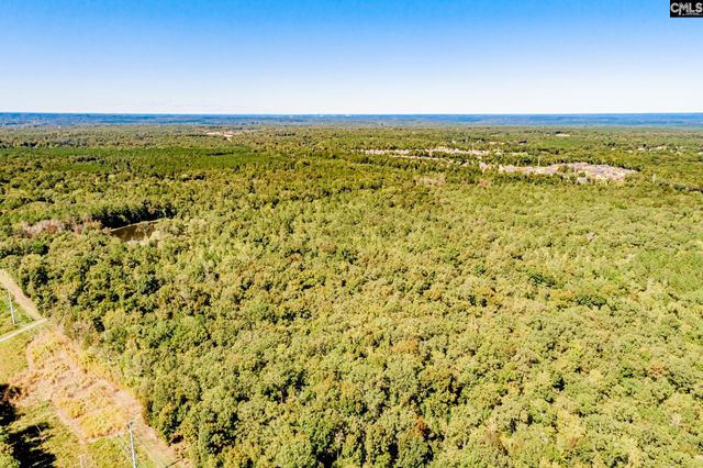 50 Steve Free Road, Chapin, SC 29036