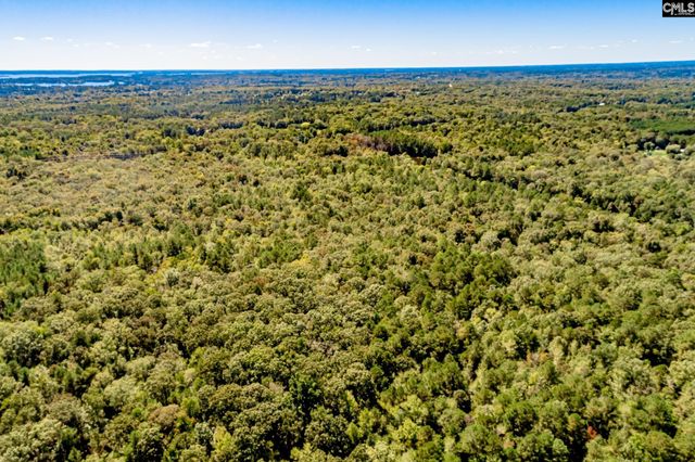 50 Steve Free Road, Chapin, SC 29036