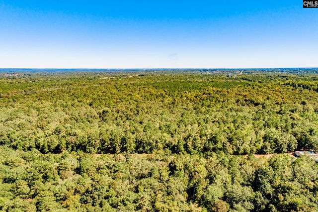 50 Steve Free Road, Chapin, SC 29036