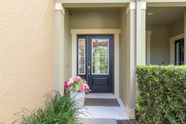 11732 CASA LAGO LANE, Tampa, FL 33626