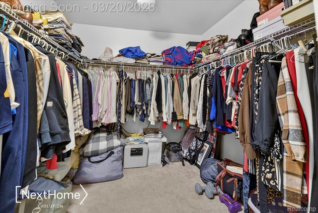 27078 Brookview Court, Brownstown Charter Township, MI 48134