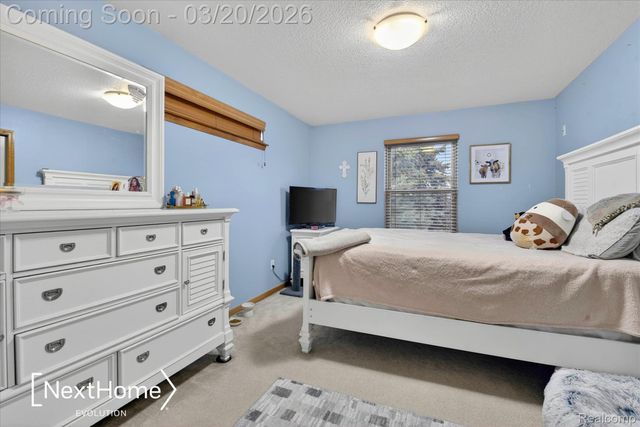 27078 Brookview Court, Brownstown Charter Township, MI 48134