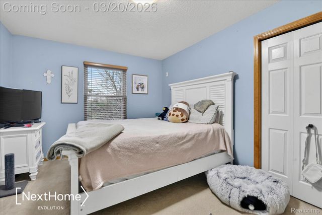 27078 Brookview Court, Brownstown Charter Township, MI 48134