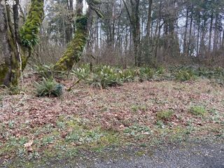 0 Forest Park Rd 19326, Rainier, OR 97048