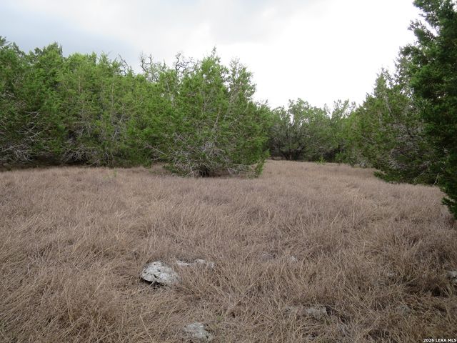 550 Eden Estates, New Braunfels, TX 78132