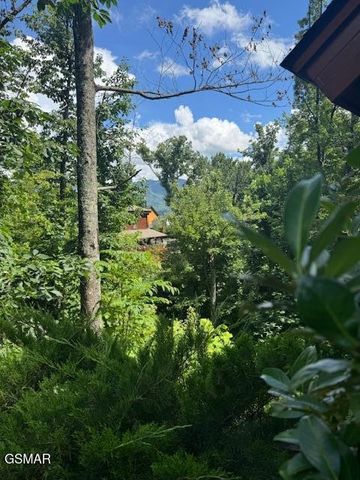 917 Pine Cone Way, Gatlinburg, TN 37738