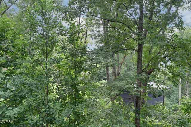 917 Pine Cone Way, Gatlinburg, TN 37738