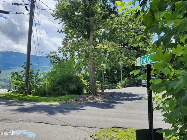 917 Pine Cone Way, Gatlinburg, TN 37738