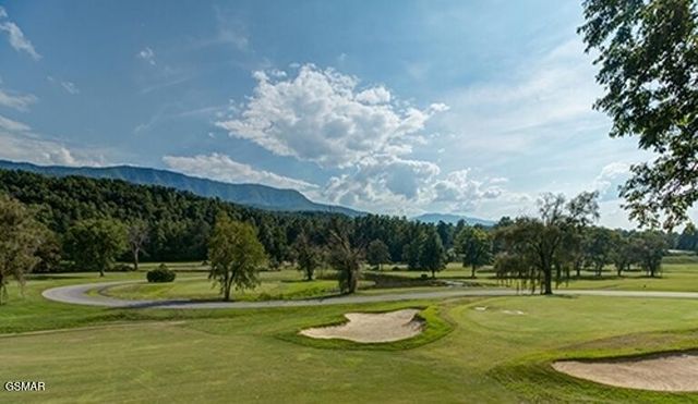 917 Pine Cone Way, Gatlinburg, TN 37738