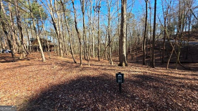 145R Red Oak Trail, East Ellijay, GA 30540