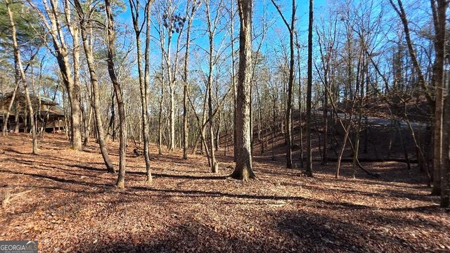 145R Red Oak Trail, East Ellijay, GA 30540