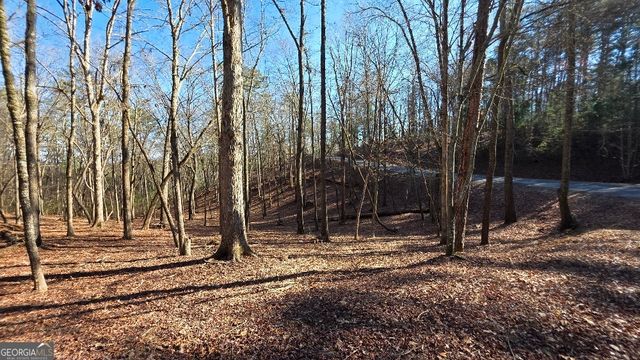 145R Red Oak Trail, East Ellijay, GA 30540