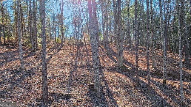 145R Red Oak Trail, East Ellijay, GA 30540
