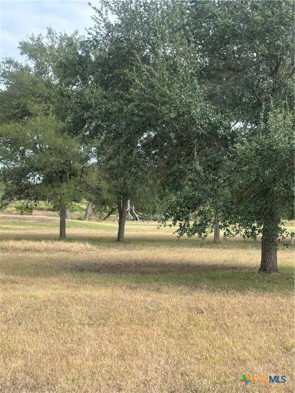 TBD 0 Fm-725, Seguin, TX 78155