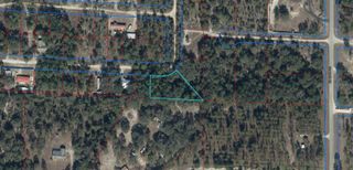 0 NE 50TH PLACE, Williston, FL 32696