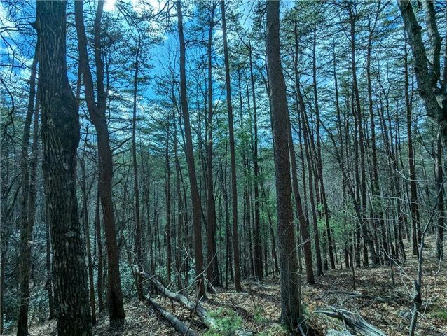 LT 30 Eagle Ridge Road, Dawsonville, GA 30534