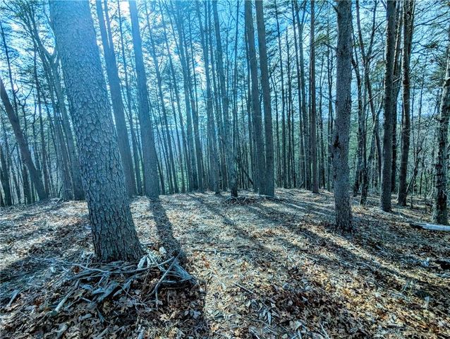 LT 30 Eagle Ridge Road, Dawsonville, GA 30534