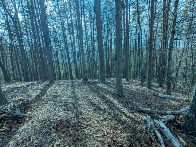 LT 30 Eagle Ridge Road, Dawsonville, GA 30534