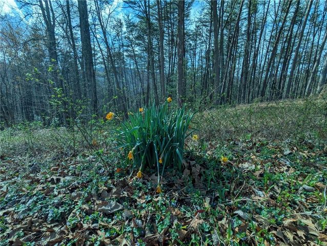 LT 30 Eagle Ridge Road, Dawsonville, GA 30534