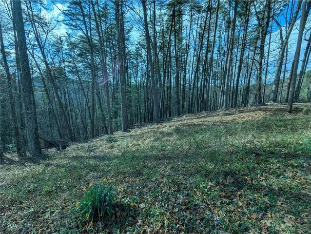 LT 30 Eagle Ridge Road, Dawsonville, GA 30534