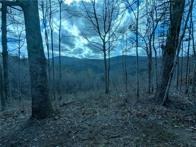 LT 30 Eagle Ridge Road, Dawsonville, GA 30534