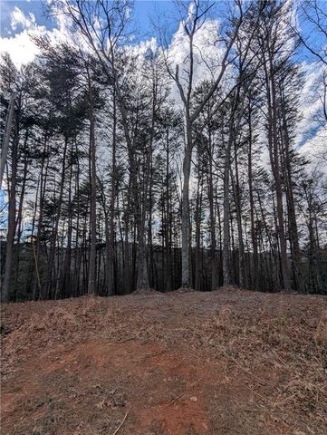 LT 30 Eagle Ridge Road, Dawsonville, GA 30534