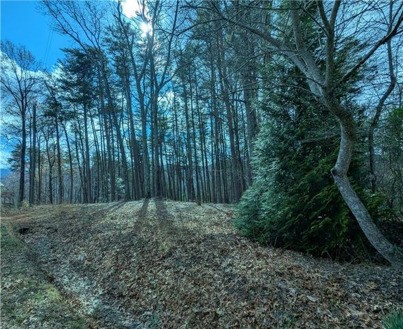 LT 30 Eagle Ridge Road, Dawsonville, GA 30534