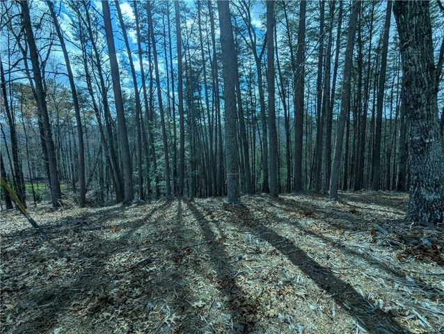LT 30 Eagle Ridge Road, Dawsonville, GA 30534