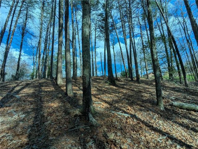 LT 30 Eagle Ridge Road, Dawsonville, GA 30534