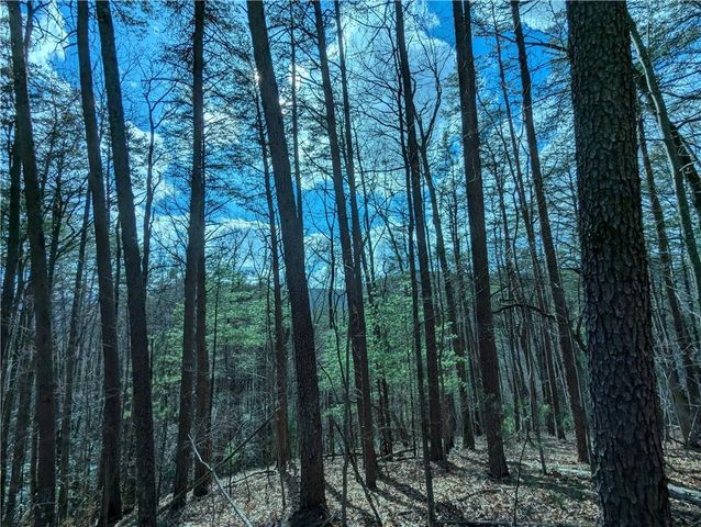 LT 30 Eagle Ridge Road, Dawsonville, GA 30534