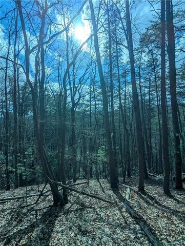 LT 30 Eagle Ridge Road, Dawsonville, GA 30534