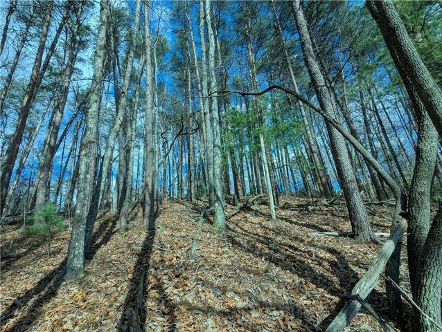 LT 30 Eagle Ridge Road, Dawsonville, GA 30534