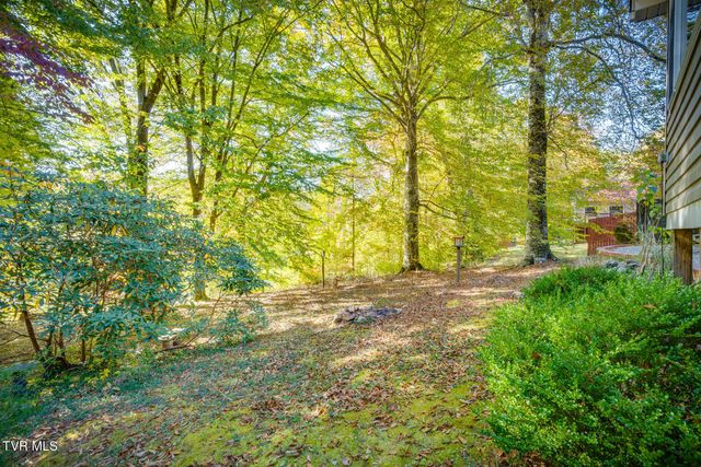 904 Echo Lane, Johnson City, TN 37604