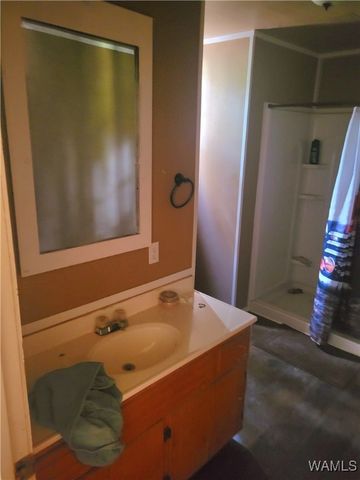 11229 Hwy 82 E, Duncanville, AL 35456