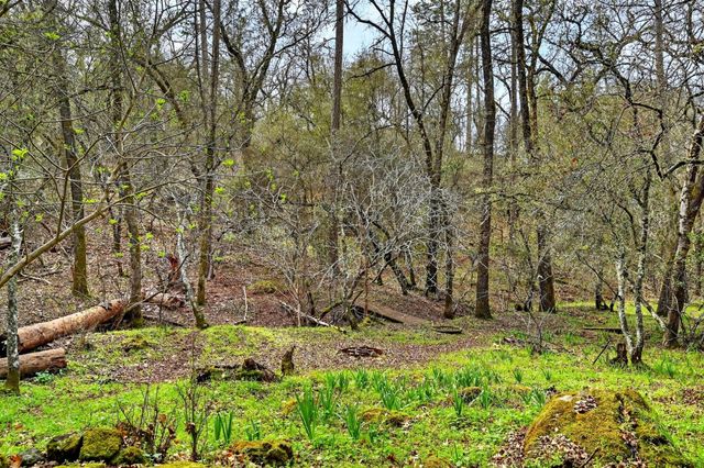 2468 Oakvale Dr., Shingle Springs, CA 95682