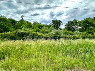 VL Braidwood Parcel 4 Road, Riley, MI 48041