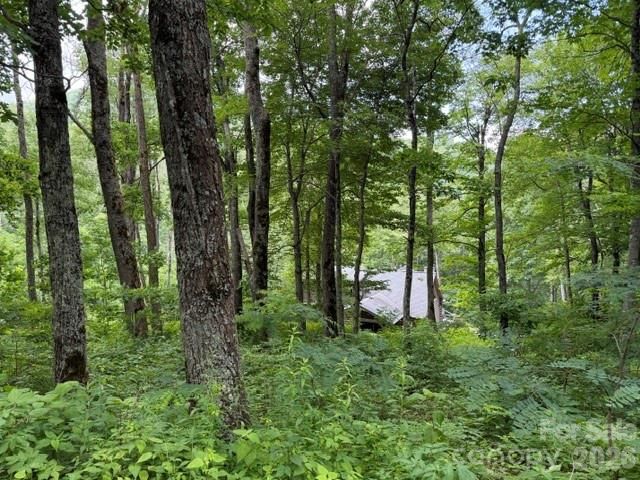 Lot 21 Odalu Trail 21, Maggie Valley, NC 28751