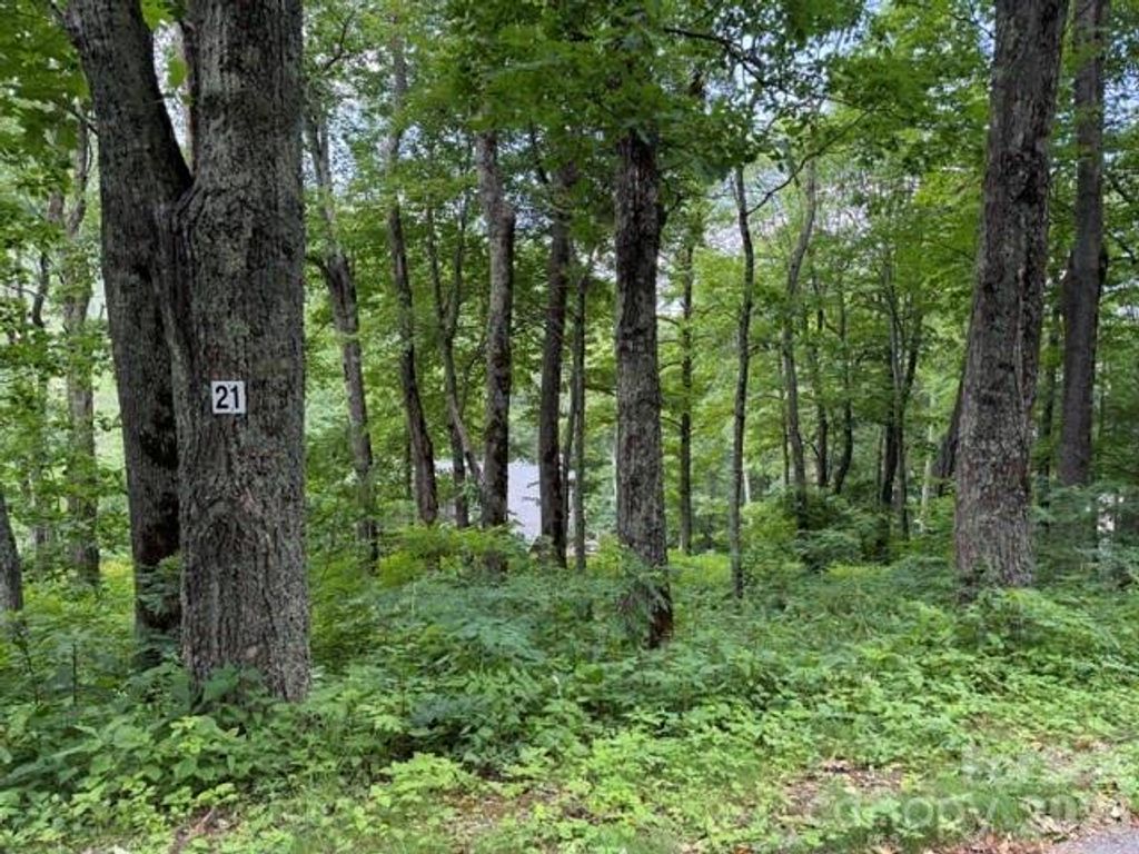 Lot 21 Odalu Trail 21, Maggie Valley, NC 28751