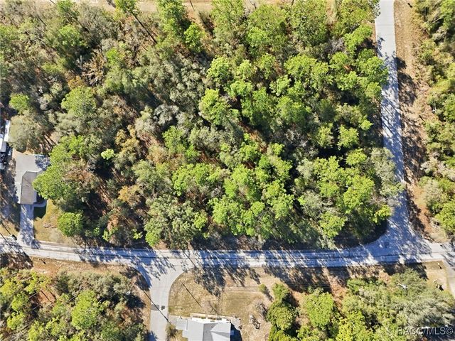 3144 W Marie Drive, Citrus Springs, FL 34433