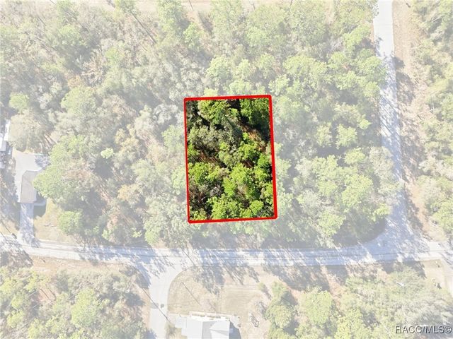 3144 W Marie Drive, Citrus Springs, FL 34433