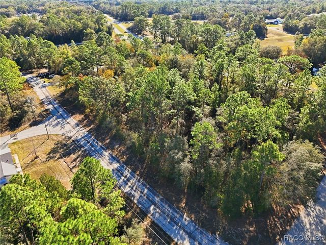 3144 W Marie Drive, Citrus Springs, FL 34433