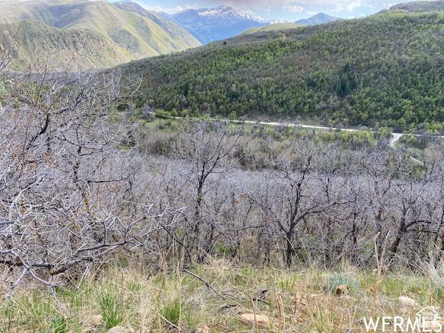 5 E HAPPY HOLLOW DR # 5, Springville, UT 84663
