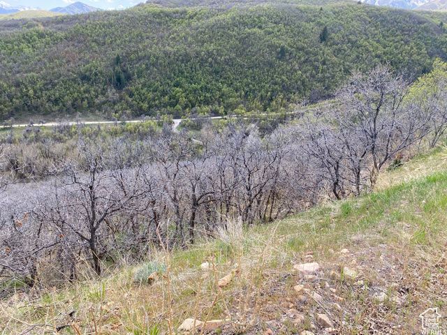 5 E HAPPY HOLLOW DR # 5, Springville, UT 84663