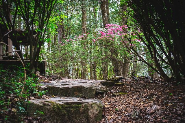 742 Beaver Run Road, Blairsville, GA 30512