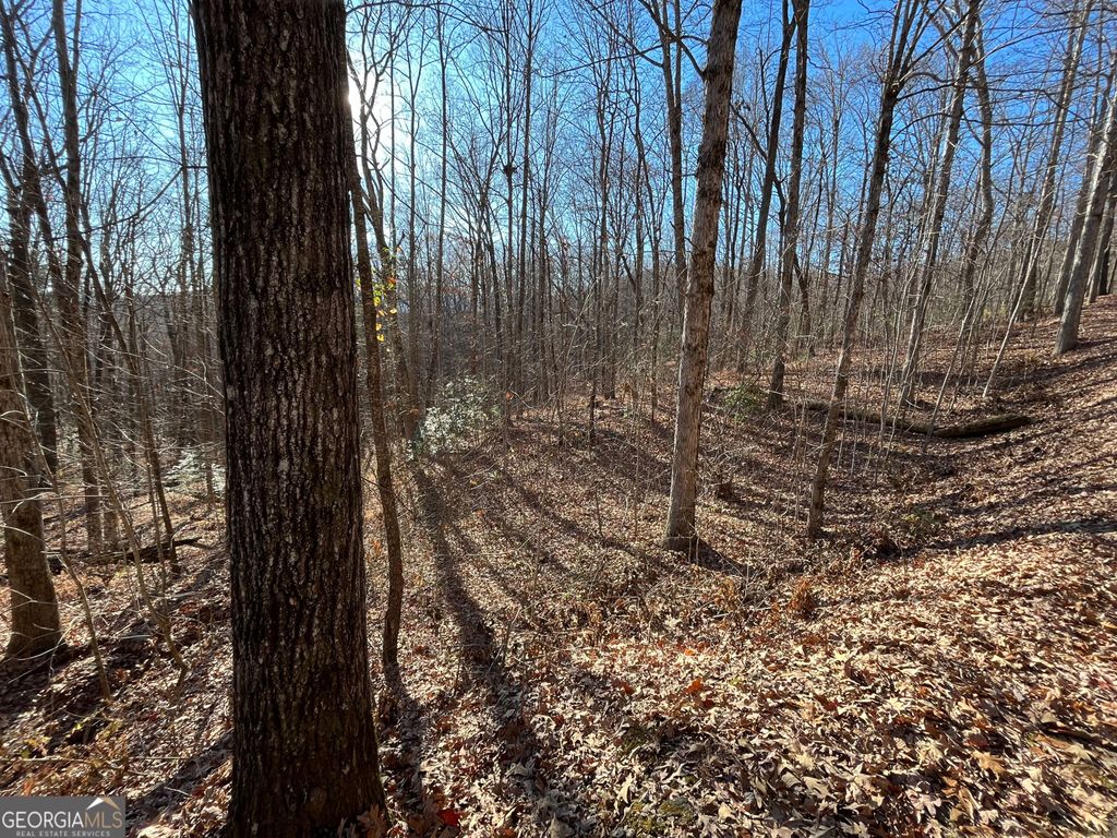 LOT #2 Forest Canopy Way, Clayton, GA 30525 — exterior