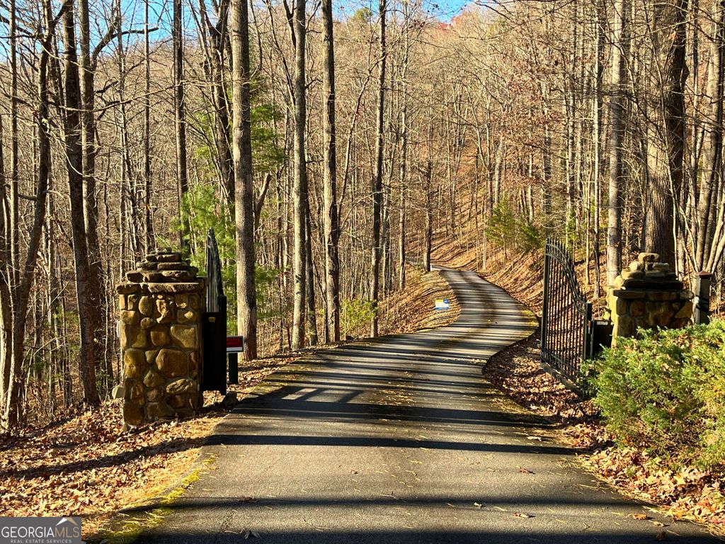 LOT #2 Forest Canopy Way, Clayton, GA 30525 — photo 3