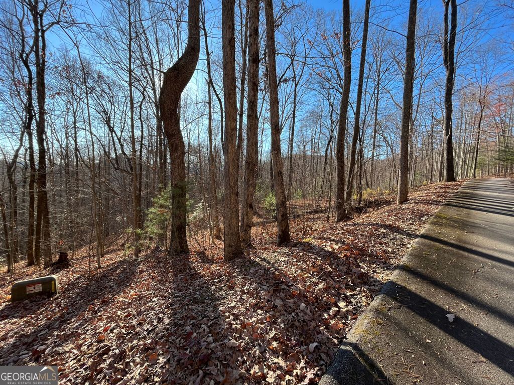 LOT #2 Forest Canopy Way, Clayton, GA 30525 — photo 4