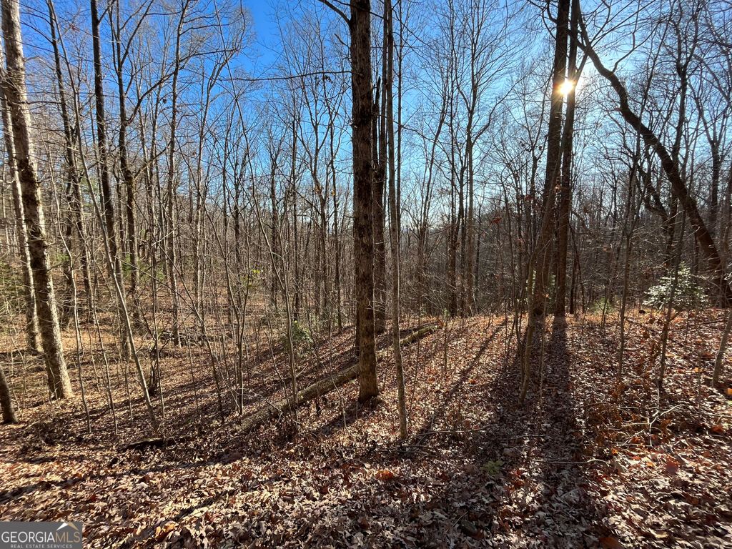 LOT #2 Forest Canopy Way, Clayton, GA 30525 — photo 5