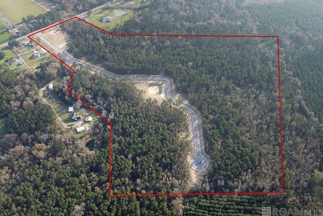 18292 Settlement Trace, Livingston, LA 70754